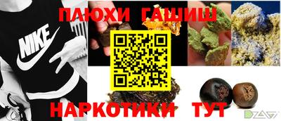 стафф Дубна