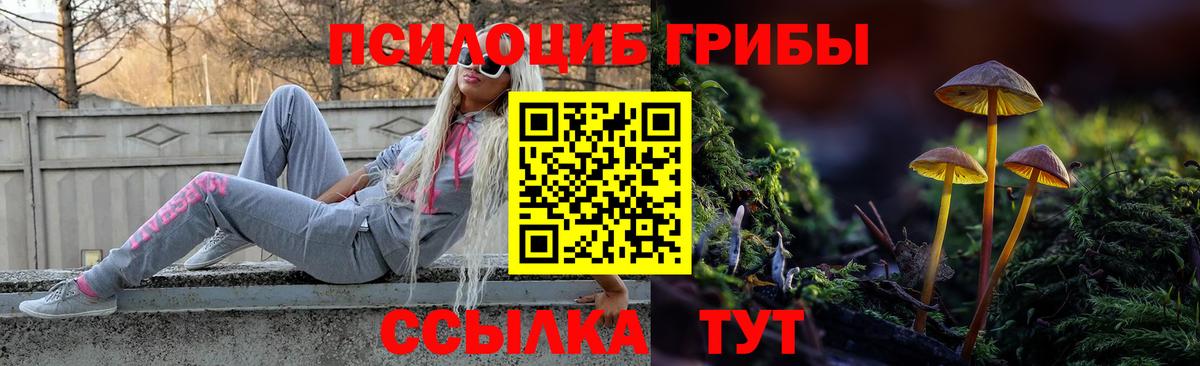 Галлюциногенные грибы Magic Shrooms  Вход с VPN  продажа наркотиков  Лыткарино  Галлюциногенные грибы Magic Shrooms 